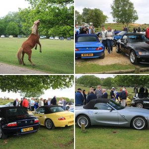 New Forest Cruise 10 May 2015