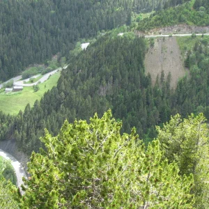 Mint in Andorra