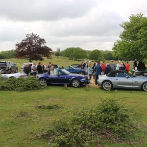 New Forest Cruise - 10 May 2015