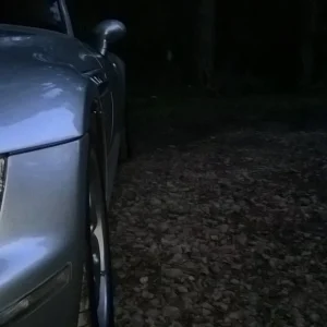 There's a Deer...... Honest