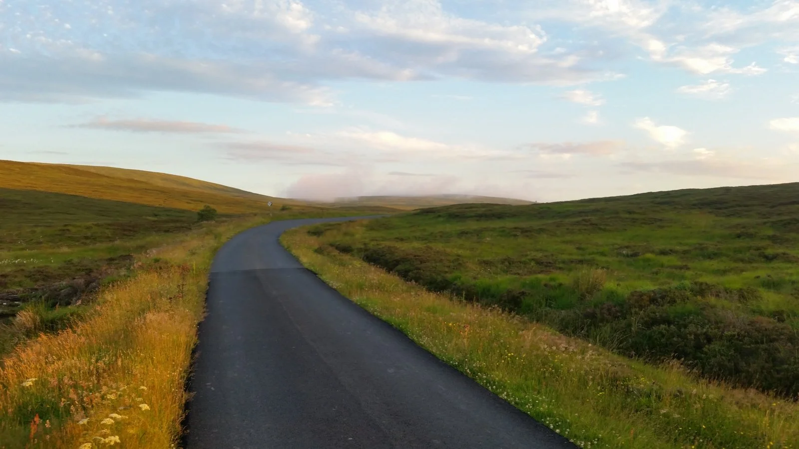 Galloway forest park