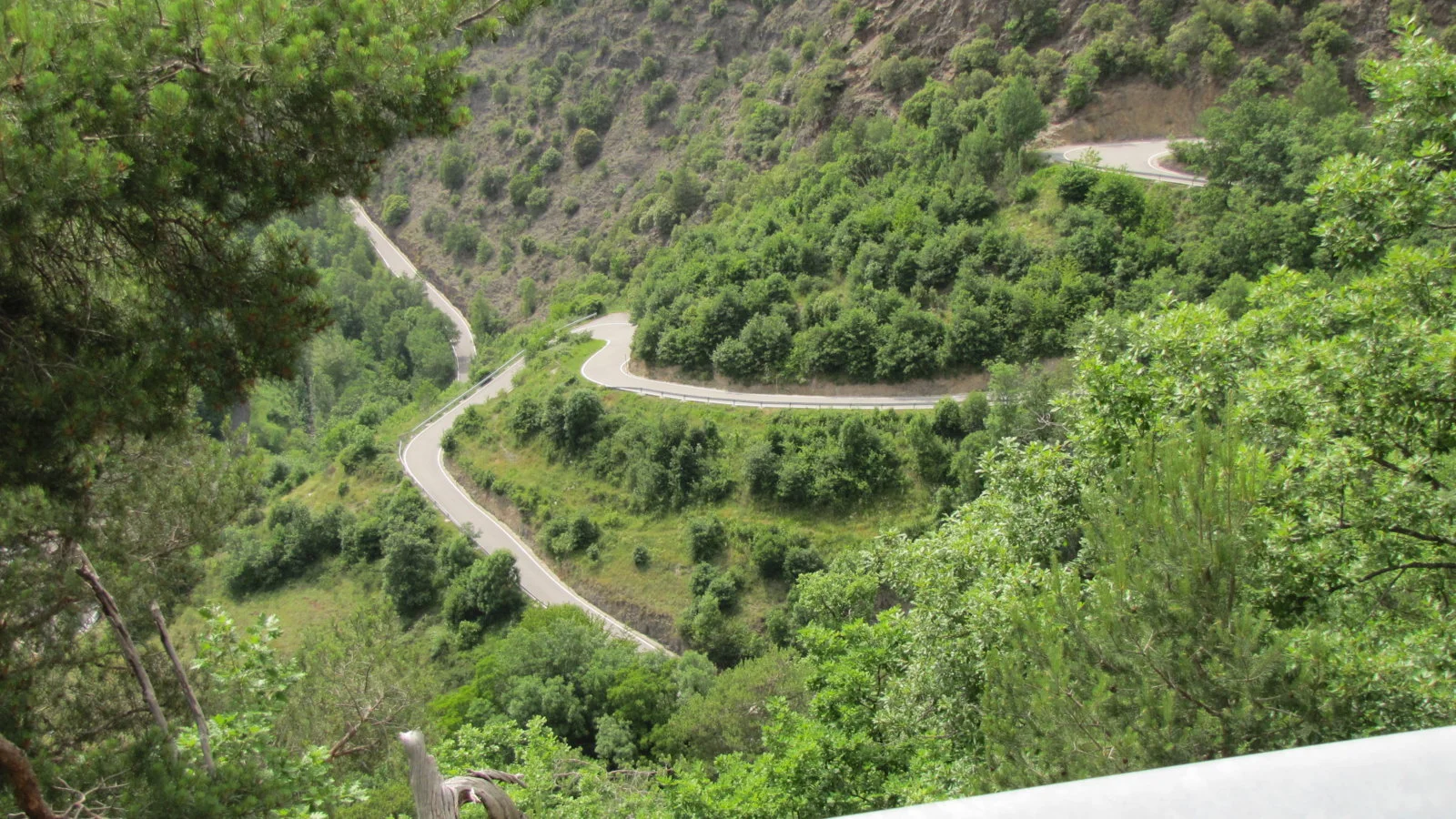 Mint in Andorra