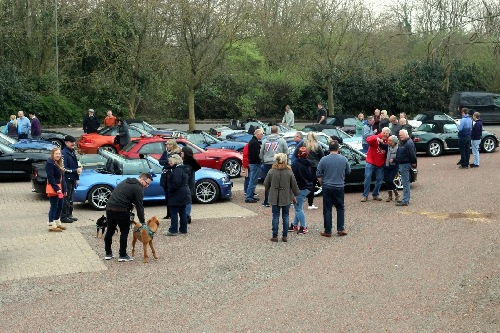 New Forest, 15 April 2018