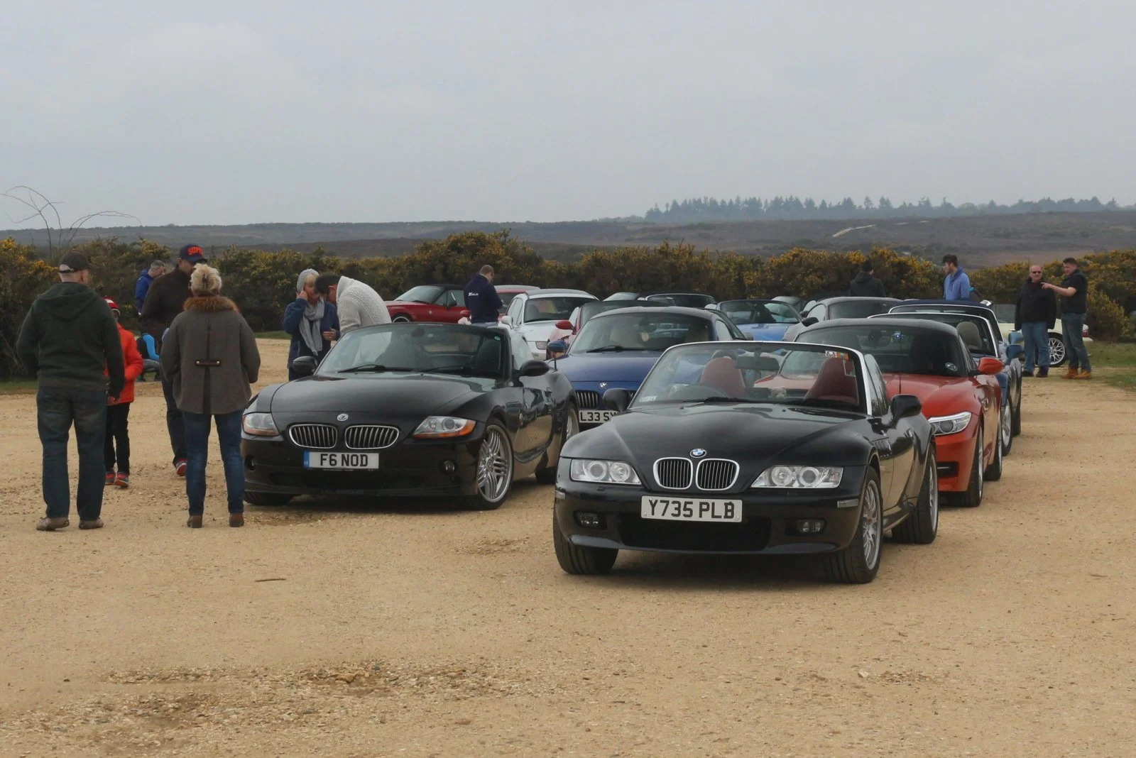 New Forest, 15 April 2018